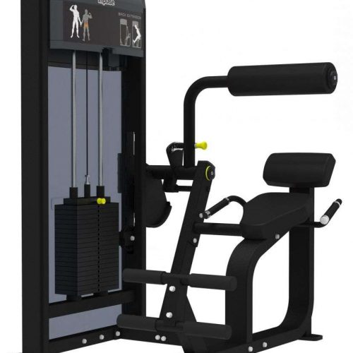 Разгибание спины Impulse IF9332