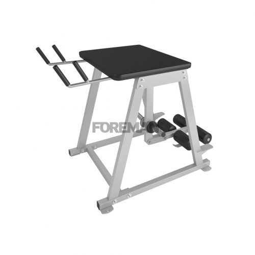 FW-821 Обратная гиперэкстензия