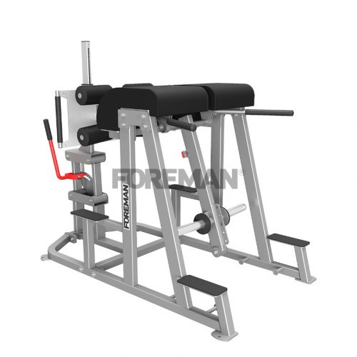 FW-822 Двойная гиперэкстензия