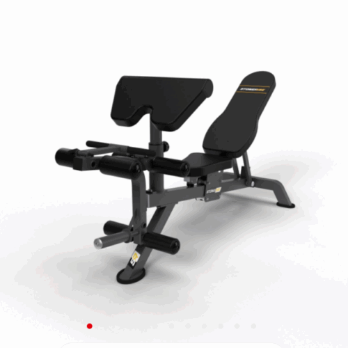 Скамья универсальная STONERISE ThunderShape