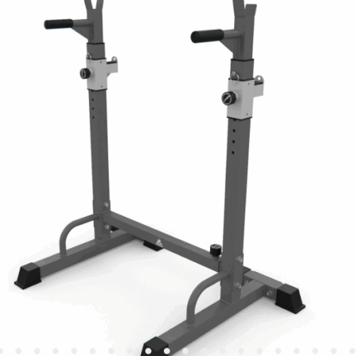 Стойка под штангу с брусьями DFC DS10