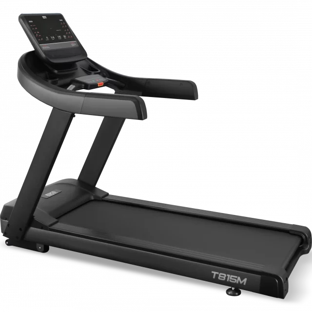 БЕГОВАЯ ДОРОЖКА ПРОФЕССИОНАЛЬНАЯ BRONZE GYM T815M