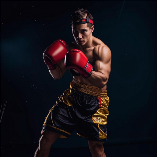 Бокс и единоборства