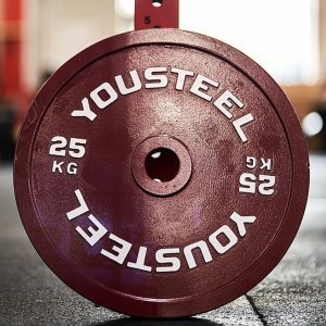 Стальной диск 25 кг, красный