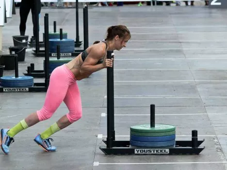 Сани Н-образного типа — изображение 2