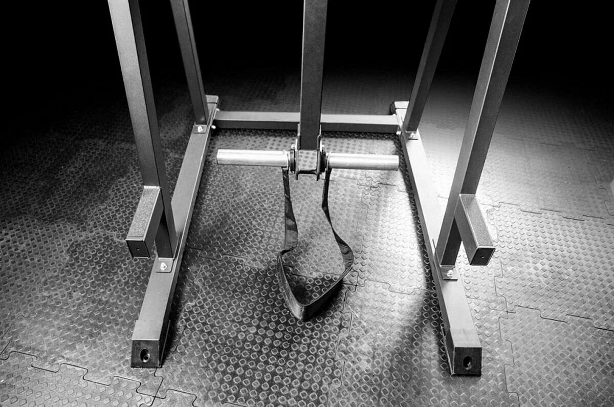 Обратная гиперэкстензия REVERSE HYPER — изображение 8